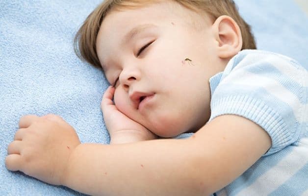 Côn trùng đốt cũng khiến trẻ khó chịu, quấy khóc trong khi ngủ.