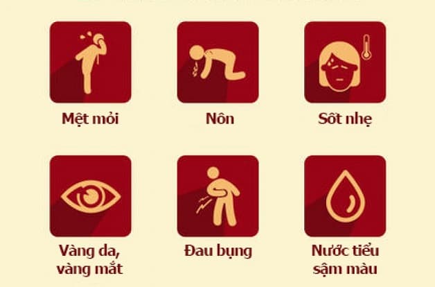 Viêm gan A có chữa được không? Các triệu chứng thường gặp