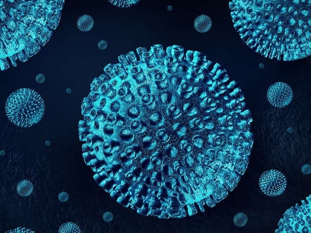Viêm gan lây qua đường nào? Hiện nay có tới 6 loại virus viêm gan khác nhau.