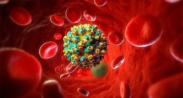 Viêm gan nói chung là viêm gan B nói riêng thường lây qua đường máu.