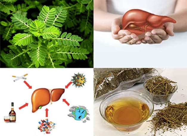 Xây dựng nếp sống lành mạnh sẽ giúp bạn đẩy lùi bệnh tật