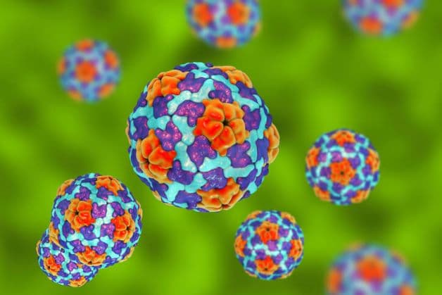 Tay chân miệng là một bệnh do các loại vi-rút thuộc họ enterovirus gây ra.
