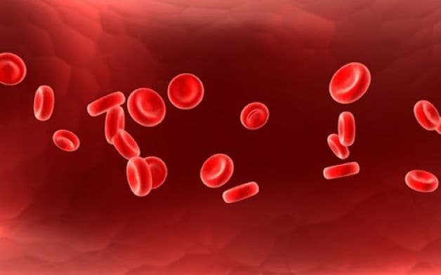 Ở mức độ trung bình, biểu hiện chính của bệnh là thiếu máu ở trẻ em với mức độ vừa và nhẹ, nồng độ huyết sắc tố ở trẻ sẽ rơi vào khoảng 6g/dl đến 10g/dl.