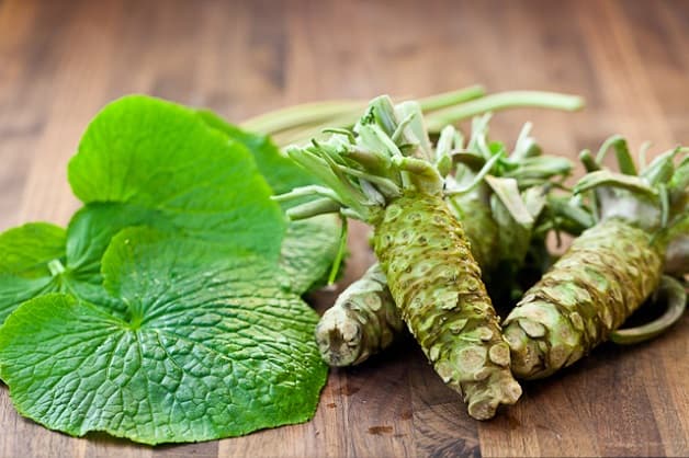 Sử dụng tinh chất Wasabi sẽ góp phần hạn chế sự phát triển của virus và tăng đề kháng cho gan
