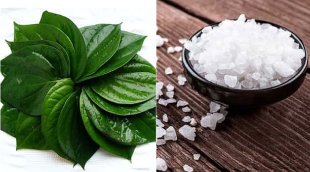 Nước muối, lá trầu không,... là biện pháp giúp khắc phục tạm thời tình trạng răng sứ bị nhiễm trùng