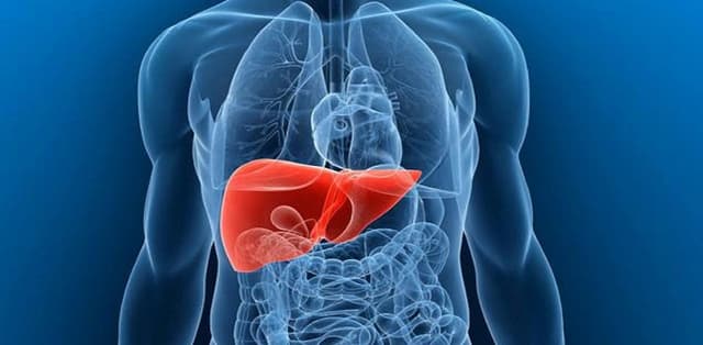 Tổng hợp phương pháp giúp giảm men gan hiệu quả