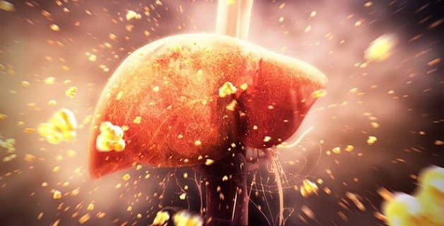 Men gan tăng làm suy giảm chức năng thải độc gan