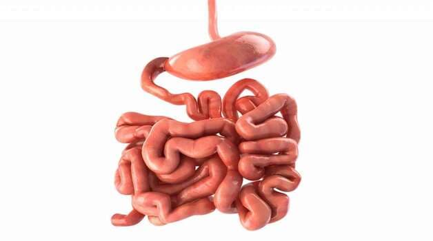 Tìm hiểu tắc ruột cao là gì?