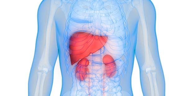 Men gan tăng cao có thể do nhiều bệnh lý nền