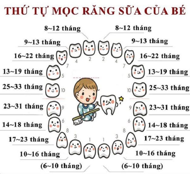 Trình tự mọc răng sữa của bé mẹ nên biết