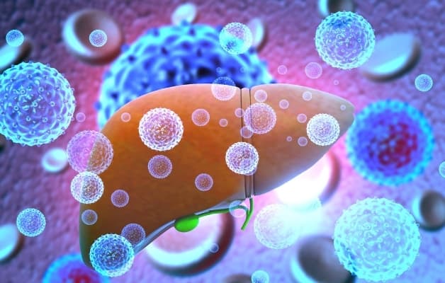 Viêm gan virus là mối lo ngại lớn cho sức khỏe người bệnh