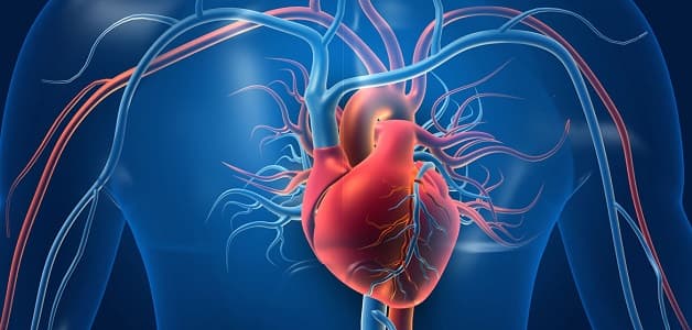 xơ vữa động mạch vành