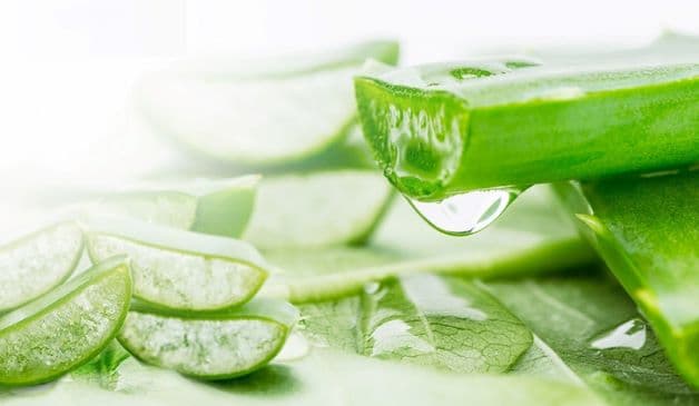 Để giảm đau răng cho trẻ, mẹ chỉ cần dùng gel lô hội thoa lên vùng răng bị đau, cơn đau sẽ nhanh chóng biến mất.