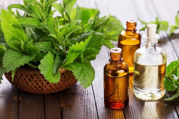 Dùng nước bạc hà để súc miệng là cách chữa đau răng khi mang thai cực hiệu quả 