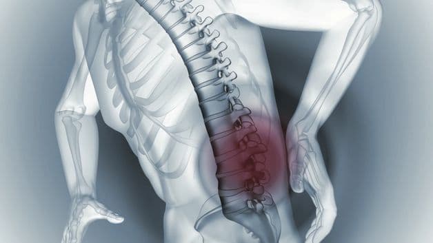 cơ chế loãng xương tự nhiên 