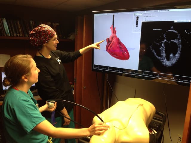 Siêu âm tim qua thực quản: Những kiến thức cần biết