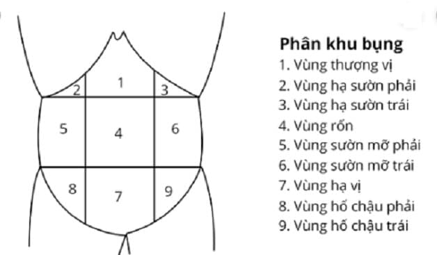 Các phân khu của ổ bụng