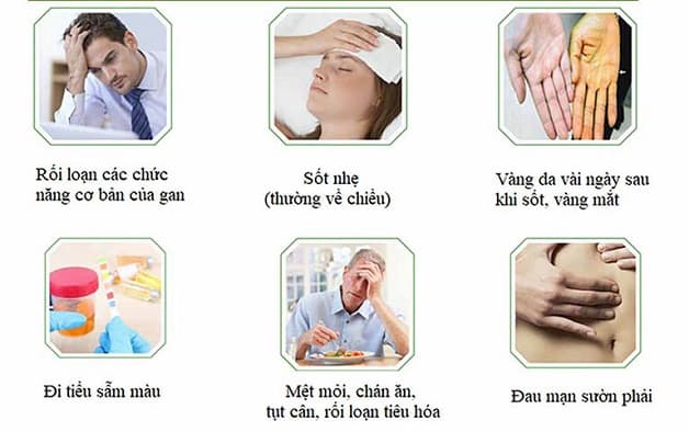 Các biểu hiện của xơ gan triệu chứng