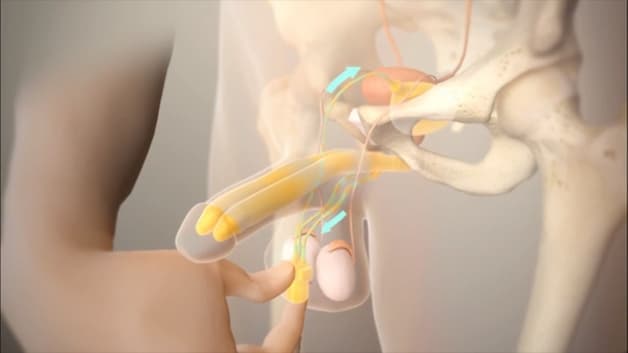 Liệt dương là gì