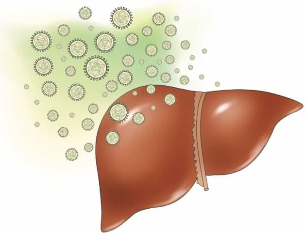 Bệnh viêm gan C có lây không?