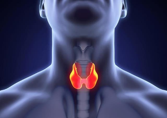 U tuyến giáp nằm ở vị trí nào và các phương pháp điều trị