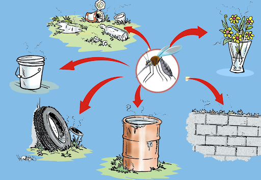 Giữ vệ sinh nhà ở, môi trường sạch sẽ là cách tốt nhất để ngăn muỗi vằn phát triển, phòng chống sốt xuất huyết