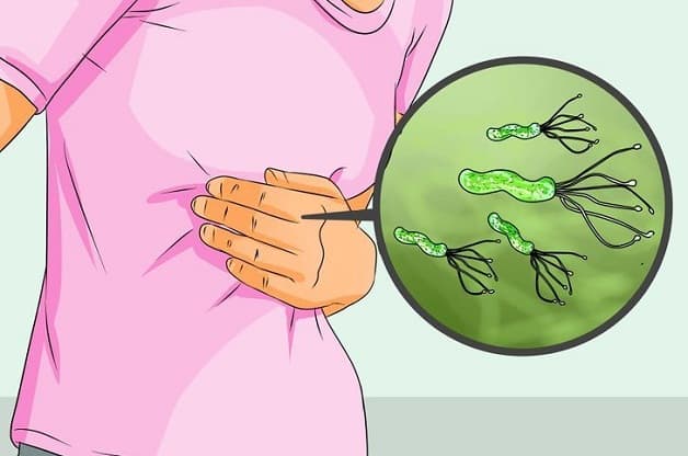 Tìm hiểu vi khuẩn H pylori là gì giúp mọi người chủ động hơn trong việc phòng bệnh và bảo vệ sức khỏe.