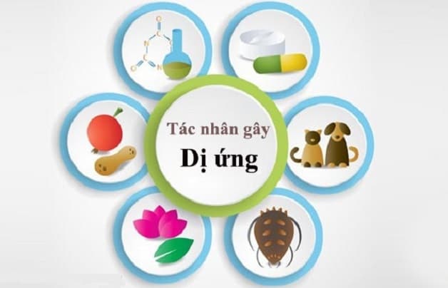 Viêm mũi dị ứng ở trẻ em - các tác nhân gây bệnh