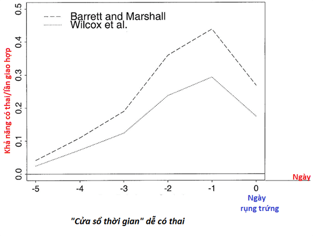 Thời điểm dễ thụ thai