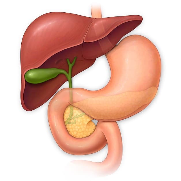 Khám chuyên khoa Gan mật là gì?