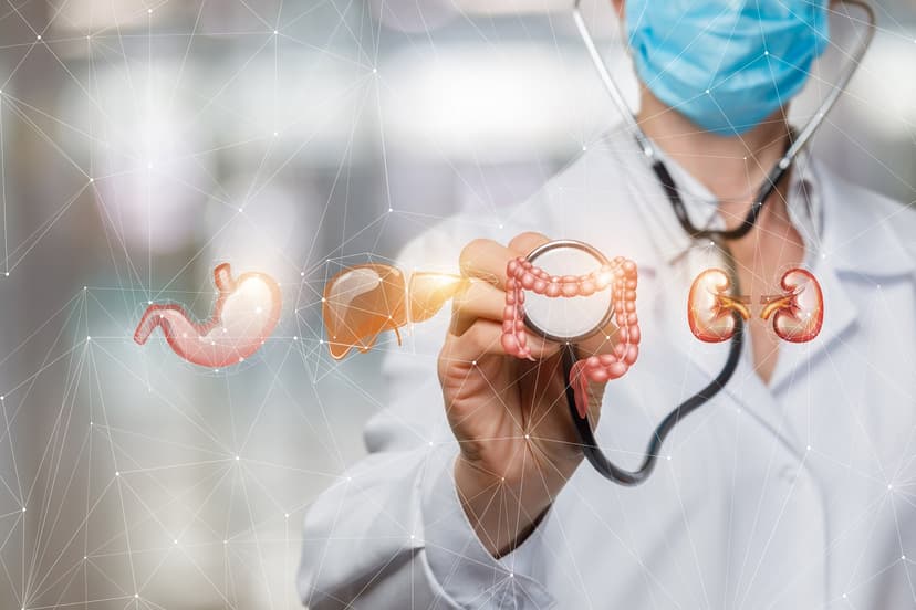 Khám chuyên khoa tiêu hóa ở đâu hiệu quả cao?