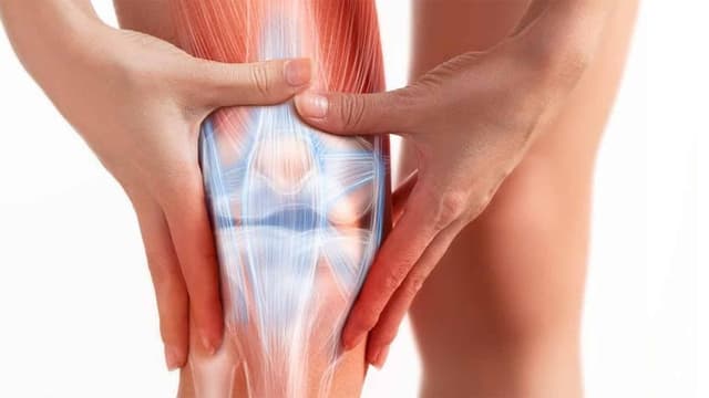 Khô khớp gối do đâu? Khi nào cần tới gặp bác sĩ?