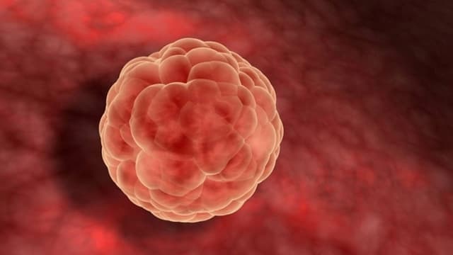 Siêu âm canh trứng để thụ thai có thực sự hiệu quả?