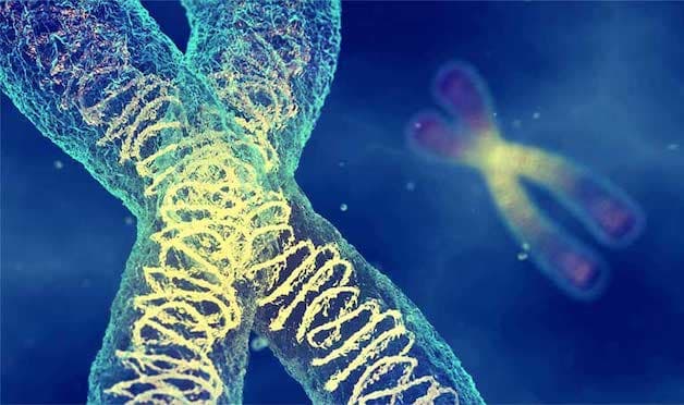 loạn dưỡng cơ có triệu chứng gì