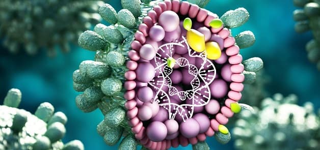 Tìm hiểu viêm gan B lây qua đường nào