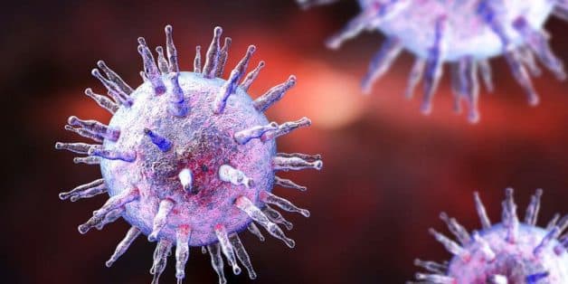 Epstein-Barr là một loại virus phổ biến gây nên các bệnh lý về tai mũi họng, trong đó có viêm họng hạt
