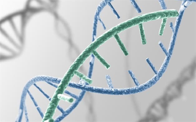 nguyên nhân xuất hiện bệnh alzheimer ở người trẻ