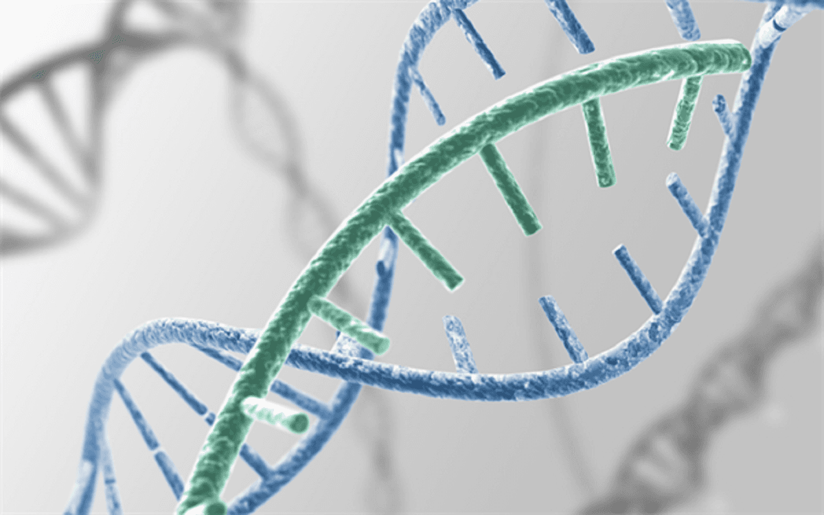 Bệnh alzheimer ở người trẻ có đáng lo?