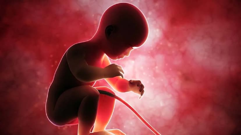 Dây rốn bám lệch tâm ảnh hưởng tới thai nhi như thế nào?