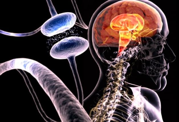 giải đáp bệnh Alzheimer sống được bao lâu?