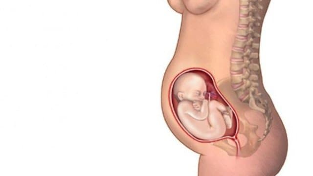 Nhau bám thấp mặt sau có thể khiến mẹ bầu và thai nhi đối mặt với những biến chứng nguy hiểm