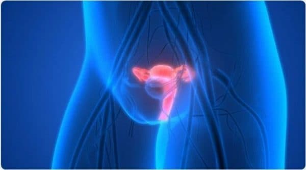 Vách ngăn tử cung là một biến dạng của tử cung, thường xảy ra ở trong quá trình phát triển của thai nhi trước khi sinh