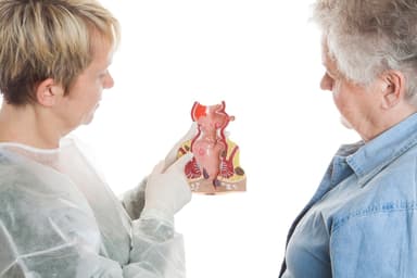 Trực tràng nằm ở đâu và các bệnh lý thường gặp