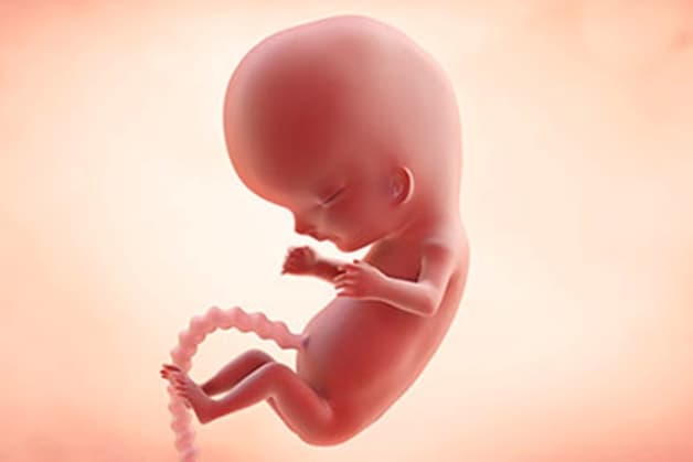 Thời gian thực hiện xét nghiệm NIPT