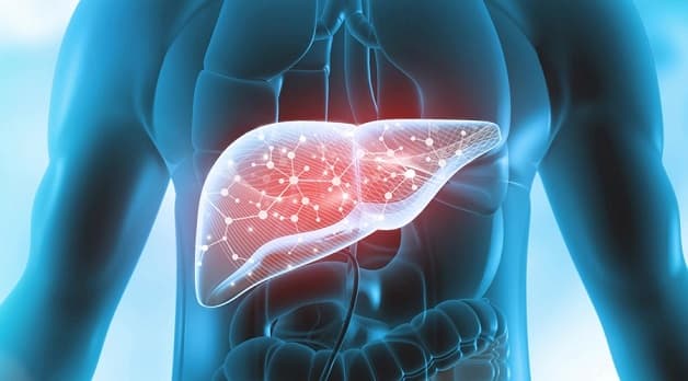 Nguyên nhân men gan cao thường gặp