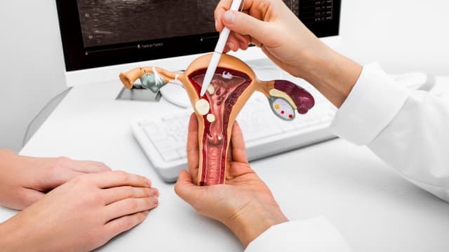 Tắc vòi trứng là gì, tắc vòi trứng có chữa được không?