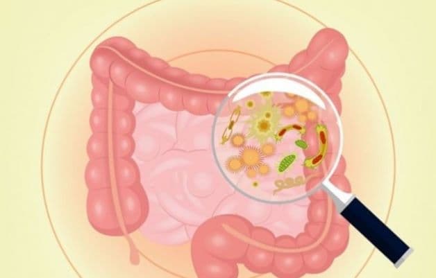 Các loại virus, vi khuẩn được coi là nguyên nhân gây tiêu chảy cấp phổ biến nhất.