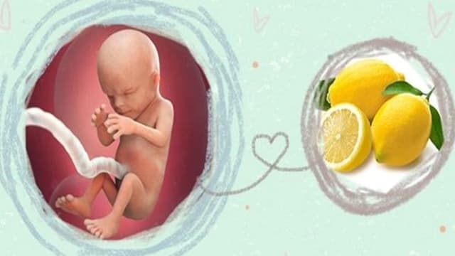 Em bé lớn như thế nào khi siêu âm thai 14 tuần?