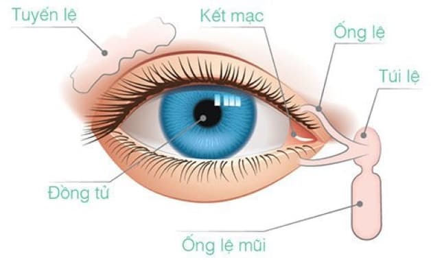 Tìm hiểu về kết mạc