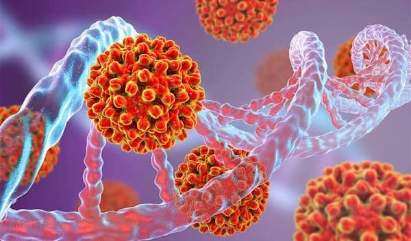 Các giai đoạn tiến triển của viêm gan B